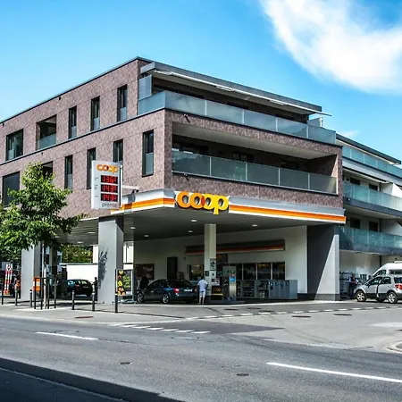 Anemone - Griwa Rent Ag